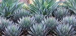 Laveen Spectrum Planned Unit Development - City of Phoenix