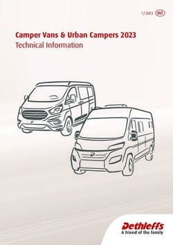 Camper Vans & Urban Campers 2023 Technical Information - INT