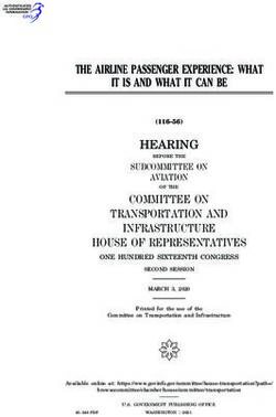 THE AIRLINE PASSENGER EXPERIENCE: WHAT IT IS AND WHAT IT CAN BE - Govinfo.gov