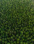 Investing in a Time of Climate Change - GLOBAL WEALTH The Sequel 2019 - India Environment Portal