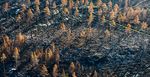 Investing in a Time of Climate Change - GLOBAL WEALTH The Sequel 2019 - India Environment Portal