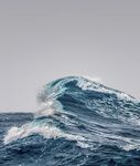 Investing in a Time of Climate Change - GLOBAL WEALTH The Sequel 2019 - India Environment Portal