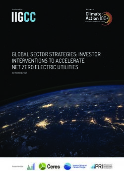 GLOBAL SECTOR STRATEGIES: INVESTOR INTERVENTIONS TO ACCELERATE NET ZERO ELECTRIC UTILITIES - Climate Action Climate Action - Climate Action 100+