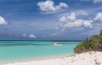 Duke Radiology in the Islands 2021 - January 17-20, 2021 The Ritz-Carlton Aruba