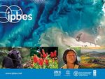 IPBES online dialogue on the use of assessments in policymaking in Africa Dialogue en ligne de l'IPBES sur l'utilisation des &eacute;valuations dans ...