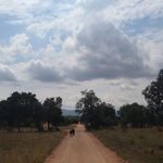 IPBES online dialogue on the use of assessments in policymaking in Africa Dialogue en ligne de l'IPBES sur l'utilisation des &eacute;valuations dans ...