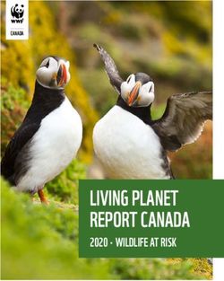 LIVING PLANET REPORT CANADA - 2020 WILDLIFE AT RISK - WWF ...