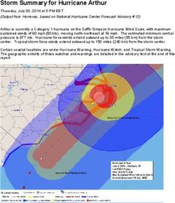 Storm Summary for Hurricane Arthur