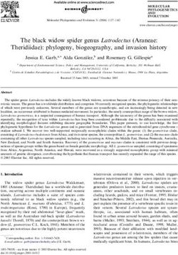 The black widow spider genus Latrodectus (Araneae: Theridiidae): phylogeny, biogeography, and invasion history