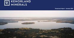 Tanacross Project - January 2021 - Kenorland Minerals