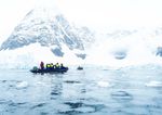 Arktis & Antarktis Expeditions-Seereisen - MV GREG MORTIMER MV SYLVIA EARLE