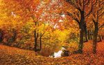 NEWSFROM - Avondale Estates