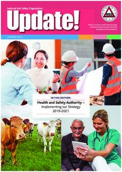 Implementing our Strategy 2019-2021 - Health and Safety Authority - IN THIS EDITION: National Irish Safety ...