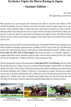 Exclusive Topics for Horse Racing in Japan - Summer Edition