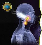 Can NBTXR3 turn anti-PD-1 non responders into responders and deepen anti-PD-1 response in naïve patients? - Nanobiotix