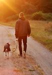 CITY OF MITCHAM DOG AND CAT MANAGEMENT PLAN 2018-2023