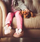 CITY OF MITCHAM DOG AND CAT MANAGEMENT PLAN 2018-2023