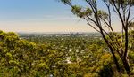 CITY OF MITCHAM DOG AND CAT MANAGEMENT PLAN 2018-2023