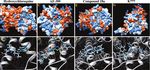 The C-C Chemokine Receptor Type 4 Is an Immunomodulatory Target of Hydroxychloroquine - Frontiers
