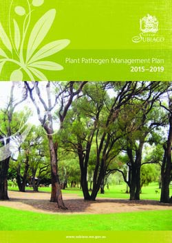 Plant Pathogen Management Plan 2015-2019 - www.subiaco.wa.gov.au - City of Subiaco