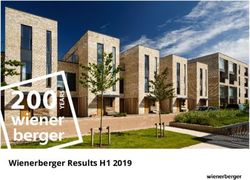Wienerberger Results H1 2019 - Wienerberger AG
