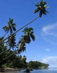 Fiji's National Adaptation Plan Framework - Ministry of Economy October 2017 - Cop23