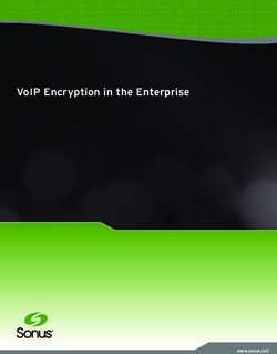 VOIP ENCRYPTION IN THE ENTERPRISE