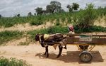 A JOINT APPROACH CASE STUDY, NIGER