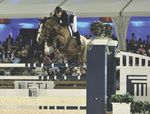 WINTER EQUESTRIAN FESTIVAL
