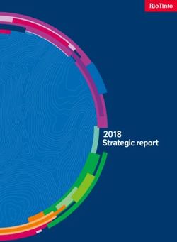 2018 Strategic report - Mining News