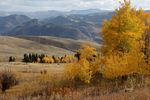 GARDINER MONTANA Nature's Favorite Entrance to Yellowstone National Park TM