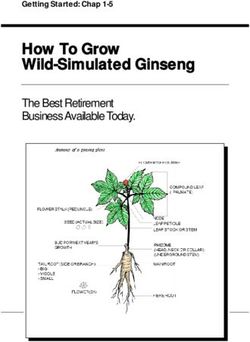 How To Grow Wild-Simulated Ginseng - The Best Retirement Business Available Today.