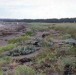 Brave Boat Harbor - Gerrish Island - Focus Areas of Statewide Ecological Significance