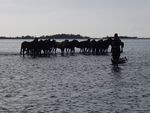 PAMLICO SEA BASE 2018 LEADER'S GUIDE - East Carolina Council