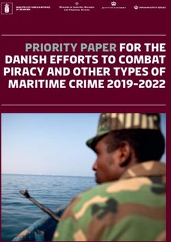PRIORITY PAPER FOR THE DANISH EFFORTS TO COMBAT PIRACY AND OTHER TYPES OF MARITIME CRIME 2019-2022 - Nigeria