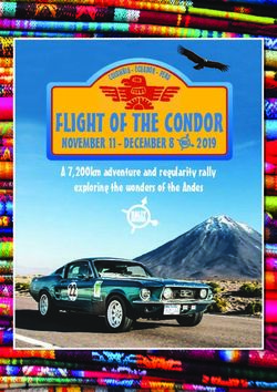 FLIGHT OF THE CONDOR NOVEMBER11- DECEMBER8 2019 - A 7,200km adventure and regularity rally - Rally Round