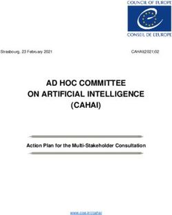 AD HOC COMMITTEE ON ARTIFICIAL INTELLIGENCE (CAHAI) - Action Plan for the Multi-Stakeholder Consultation - Coe