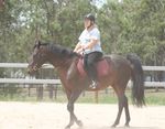 WELCOME TO THE DARRA-OXLEY PONY CLUB