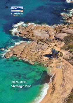 2021-2031 Strategic Plan - Flinders Council 2020-2030 Strategic Plan