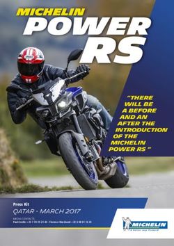 There will be a before and an after the introduction of the - MICHELIN - Michelin North America, Inc.