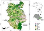 Assessing Environmental Criteria to Support Forest Connectivity