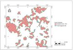 Assessing Environmental Criteria to Support Forest Connectivity