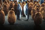 Over 28 Years of Exploration Small Ship Expeditions & Treks - Aurora Expeditions