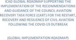 ICAO GLOBAL ROADMAP SUPPORTING THE IMPLEMENTATION OF THE RECOMMENDATIONS AND GUIDANCE OF THE COUNCIL AVIATION RECOVERY TASK FORCE (CART) FOR THE ...