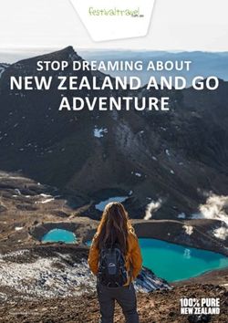NEW ZEALAND AND GO ADVENTURE - STOP DREAMING ABOUT - Festival Travel