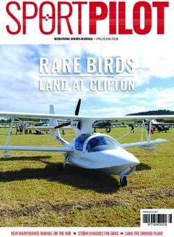 RARE BIRDS LAND AT CLIFTON - NEW MAINTENANCE MANUAL ON THE WAY - Australian Sport Pilot Magazine