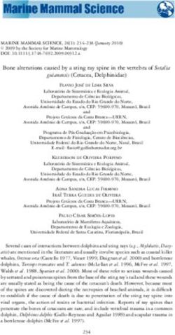 Bone alterations caused by a sting ray spine in the vertebra of Sotalia