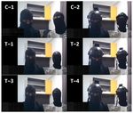 Application of Machine Learning Algorithm on MEMS-Based Sensors for Determination of Helmet Wearing for Workplace Safety