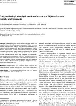 Morphohistological analysis and histochemistry of Feijoa sellowiana somatic embryogenesis