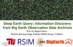 DEEP EARTH QUERY: INFORMATION DISCOVERY FROM BIG EARTH OBSERVATION DATA ARCHIVES - PROF. DR. BEGÜM DEMIR REMOTE SENSING IMAGE ANALYSIS (RSIM) ...